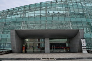 河南艺术中心超高艺术墙玻璃幕墙施工技术的创新与应用